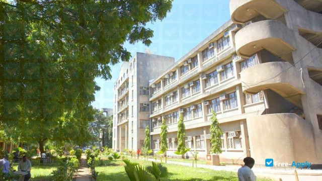 Muhimbili University of Health and Allied Sciences (MUHAS) Overview