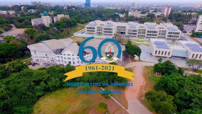 University of Dar es Salaam (UDSM) overview & requirements